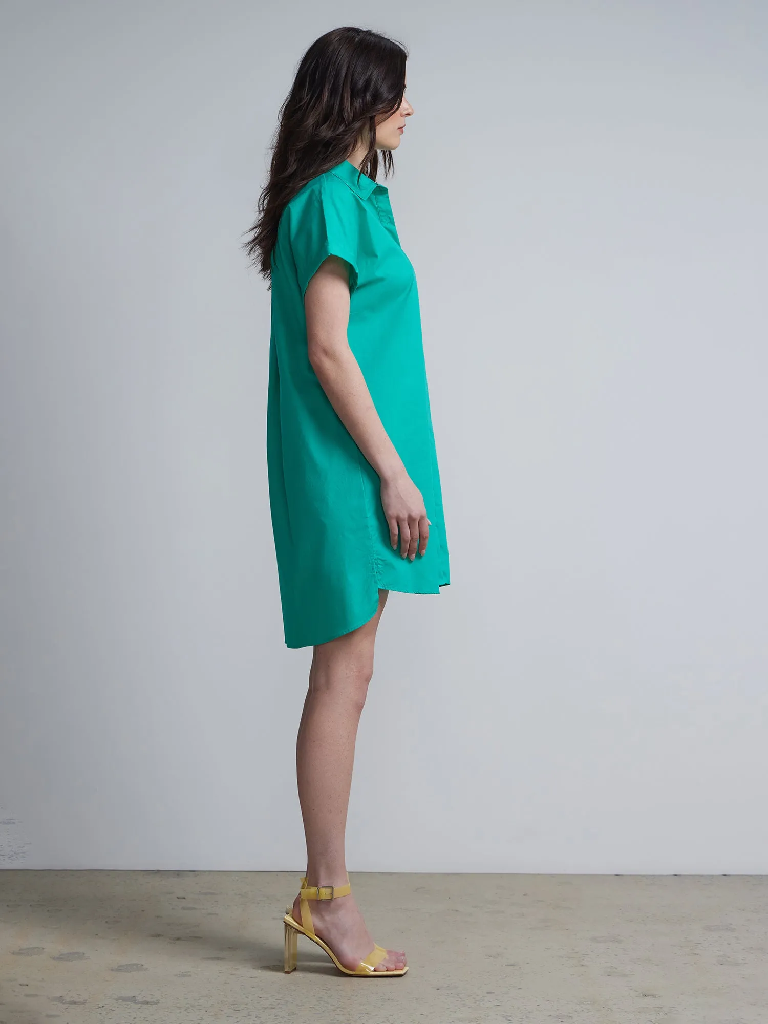 Button-Front Collared Shirtdress