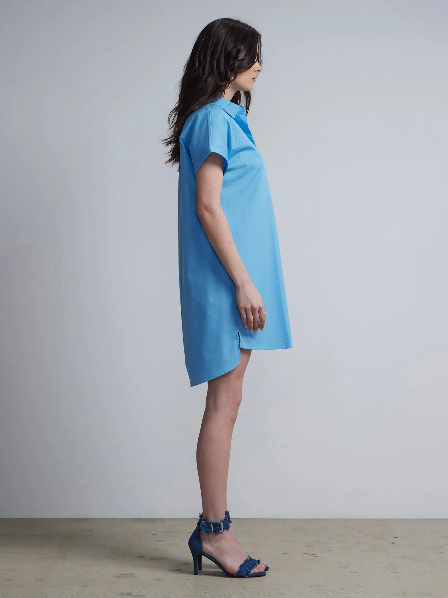 Button-Front Collared Shirtdress